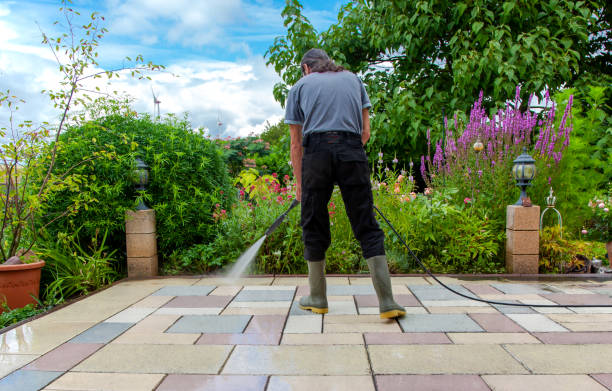 Best Driveway Pressure Washing  in Greenville, NY